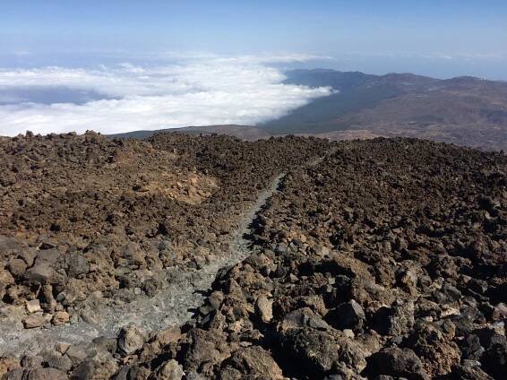 Pico del Teide – Vše o kočkách a nejen o nich