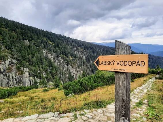 Katedra tělesné výchovy