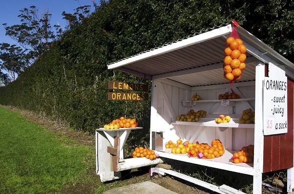 10 Foods to Buy by the Side of the Road