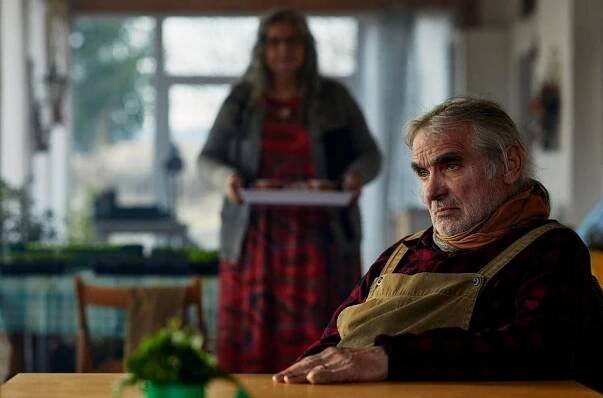 České filmy 2024: Na jaké novinky se můžeme těšit? Komedie i krimi dramata! | Červenýkoberec.cz