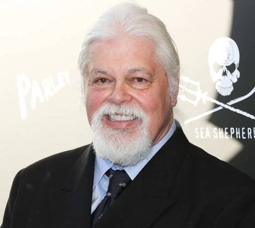 Pierce Brosnan and More Show Support for Anti-Whaling Activist Paul Watson, Who Remains Detained in Greenland