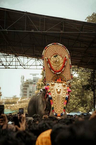 bezplatná Majestátní Slon Na Festivalu Thrissur Pooram Základová fotografie
