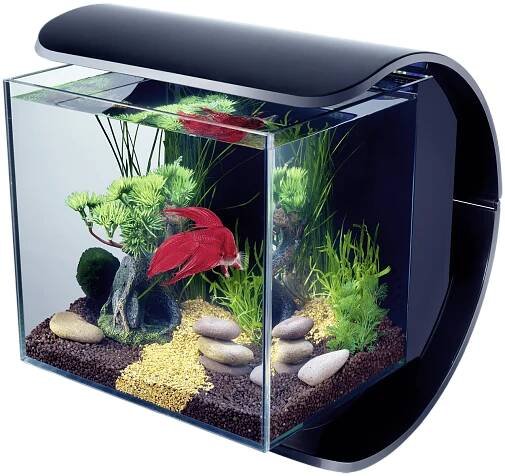 Akvárium Tetra Silhouette LED 12l černá