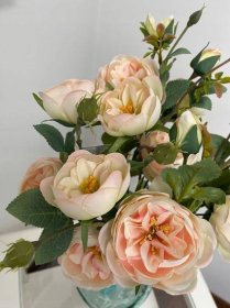 Růže PEONIA PIVOŇKA jako živé umělé květiny Maximální výška 65 cm