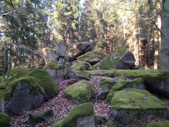 Soubor:Wolfstein Sebnitz 05.jpg – Wikipedie