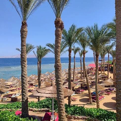 NUBIAN ISLAND - Updated 2025 Prices & Hotel Reviews (Sharm El Sheikh, Egypt)