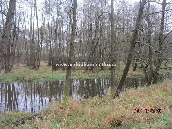Prodej Pozemek, Mohelnice, okres Plzeň-Jih