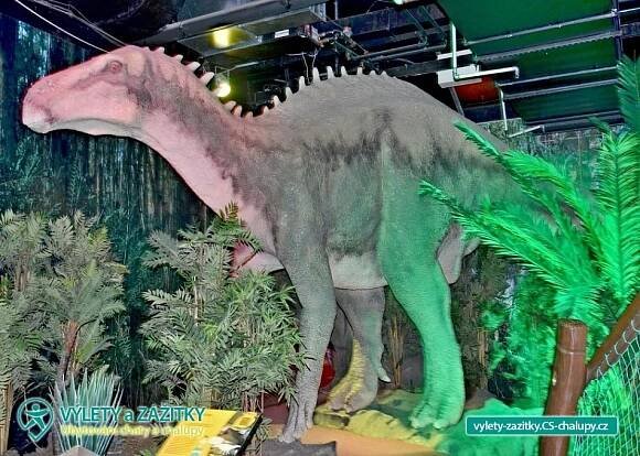 DinoPark Plaza Liberec (6CZ-015): Výlety a zážitky