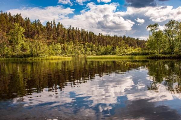 Národní park Lemmenjoki – Martin Cígler