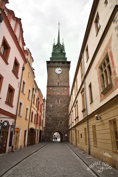 Pardubice bez perníku – Turisticky gurman