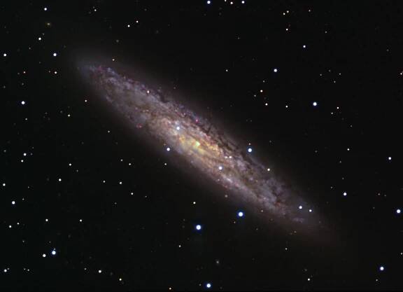 pngc253