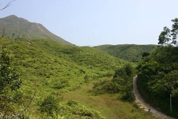 hiking100fun » 荔枝窩雞粥檔