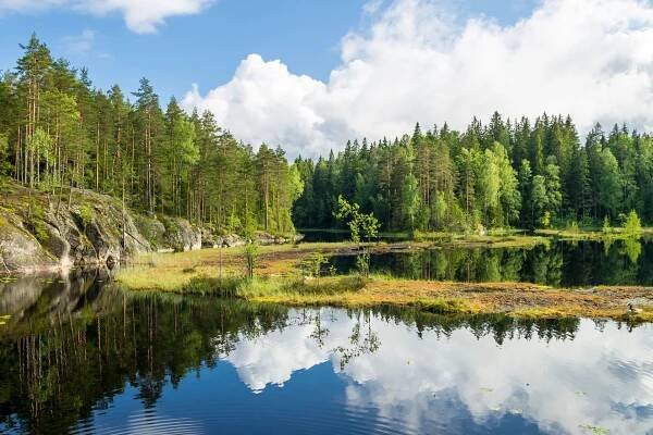 Krajina v národním parku Nuuksio ve Finsku | alexanderphoto/123RF.com