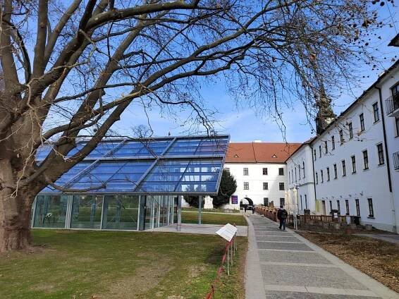 Mendelovo muzeum Masarykovy univerzity. Poznejte místo, kde se před 200 lety zrodila genetika!