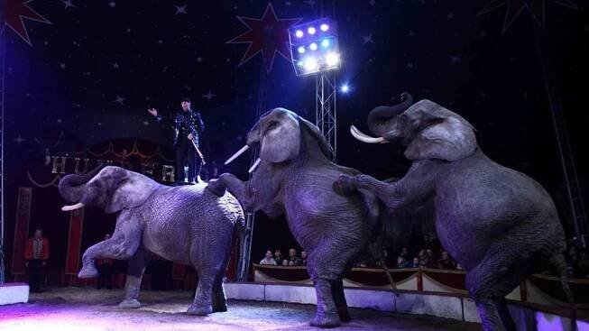 Nejslavnější Evropský cirkus HUMBERTO se vrací do Prahy!