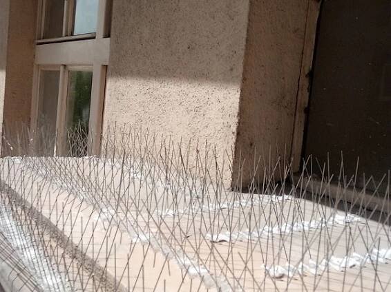 Ochrana proti holubům a čištění po holubech - Dopareal