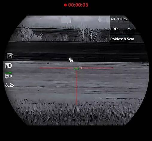 Hikmicro Stellar SH35L 3.0 - Fox hunting 188 m. #foxhunting #hunting #hikmicro #fox #shoot #hunter