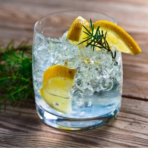 Gin a tonic s plátkem citrónu