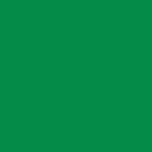 LC11 - Light Green Matt