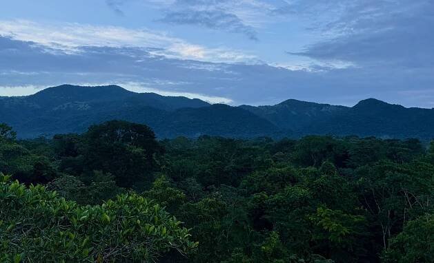 Environmental Education & Research Belize