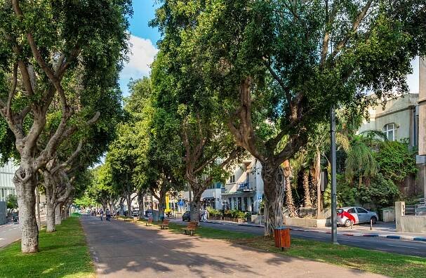 Rothschild Boulevard, Tel Aviv