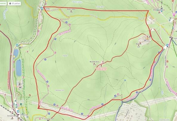 V pondelka sa bude konať hromadný odlov diviakov vo forme spoločnej poľovačky v oblasti Kamzík - Bratislavskykraj.sk