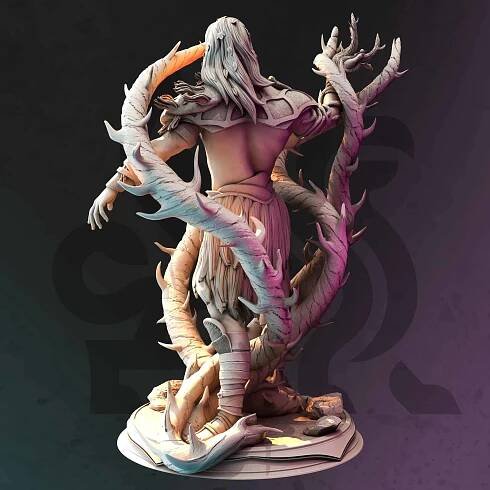 Toraxid Drenth - Swamp Druid - DM Stash