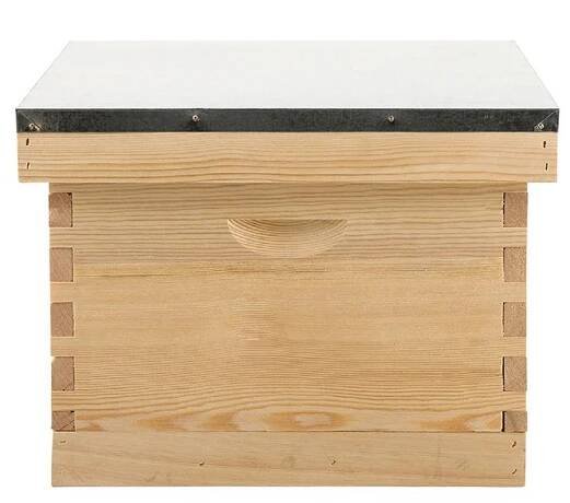 1-Layer-Langstroth-beehive-1