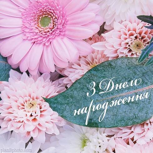 З Днем народження: картинка. откритка, листівка
