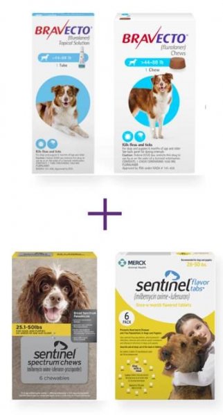 Choose Complete Parasite Protection | us-bravecto-com