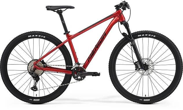 Dema RAVENA 5 2023 (dark bordo-gray) pevné horské kolo 29er