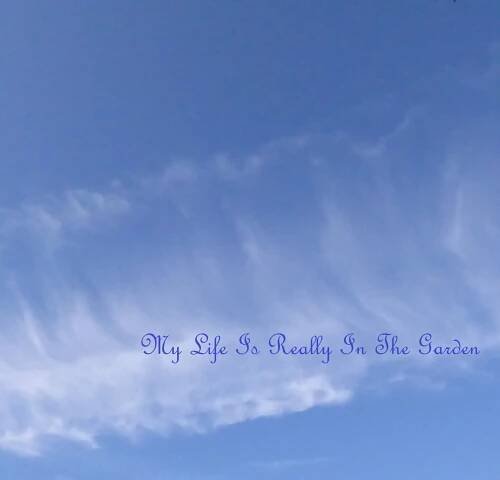 September | 2014 | My Garden – Mon Jardin – Mi Jardin – Mein Garten - Daily Adventures & Thoughts