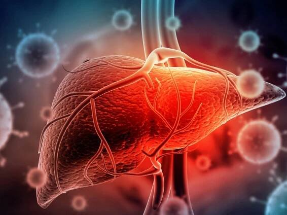Diagnose oft spät - Hepatitis: Blutuntersuchung könnte Leben retten