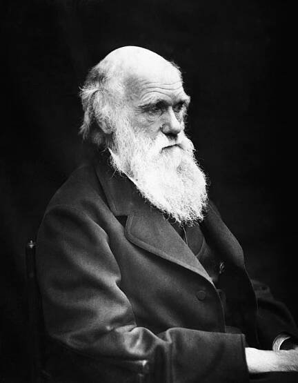 Charles Darwin – Wikipedie