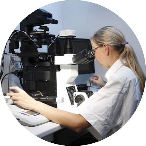 Buněčná biologie | PřF UK