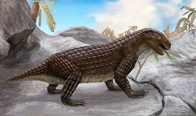 Soubor:Simosuchus.jpg – Wikipedie