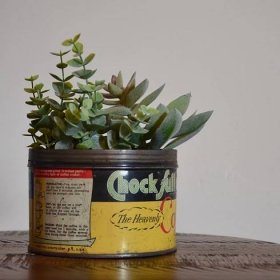 Vintage Chock Full O Nuts Coffee Tin Yellow Green Red with Succulents Side Angle