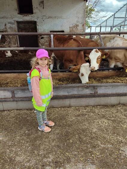 Krtečci na Zlaté farmě | Mateřská škola Lužická