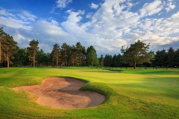 Blairgowrie golfová hůl - Rosemount