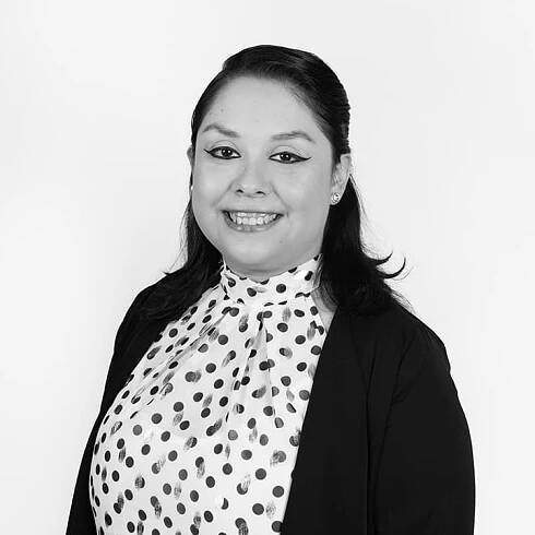 Ana Attorney - Larwicklaw