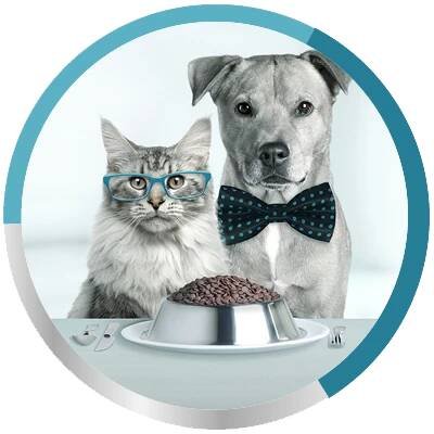 O značce | thePet+
