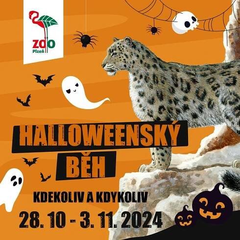 HALLOWEENSKÝ BĚH 2024 | My tě porazíme | Projekt Rozběháme Česko