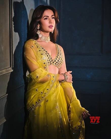 Actress Sonal Chauhan New Glam Stills