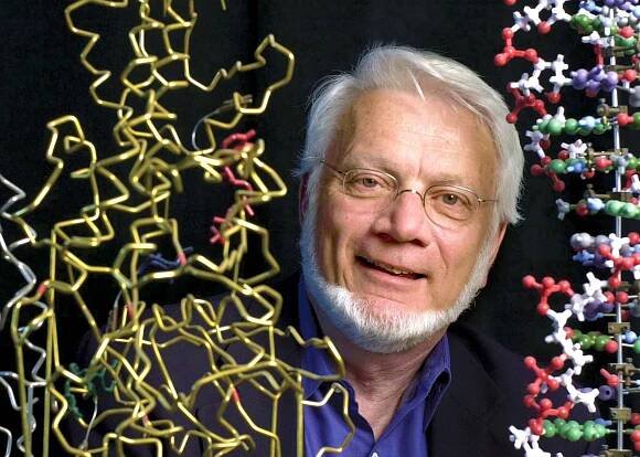 Thomas A. Steitz, 78, Dies; Illuminated a Building Block of Life