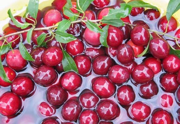 Meine Leistungen - EssPunkt-richtig - Ernährungsberatung