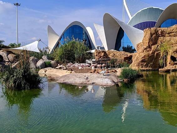 Valencia aquarium in Spain