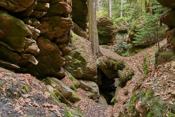 Ein schmaler Pfad schlängelt sich durch eine felsige, bewaldete Schlucht. Große, mit Moos bedeckte Felsbrocken und Bäume säumen den Weg, der Boden ist mit einer Mischung aus Laub und Erde bedeckt. Sonnenlicht fällt durch das dichte Blätterdach des Waldes.