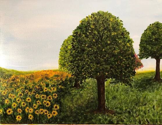 Sunflowers