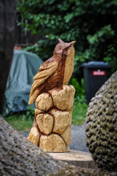 Dřevořezba - Výr velký (Bubo bubo) - Radek Zdražil - stránky řezbáře