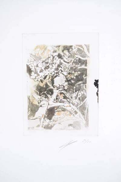 Luc Tuymans - Isabel, Diorama, Scramble, Twenty Seventeen - 2017